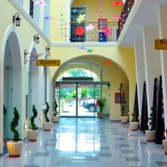 Imagine Leul De Aur Sebes 