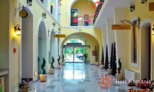 Imagine Leul De Aur Sebes 