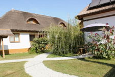 Cerdacul cu Stuf Cerdacul cu Stuf