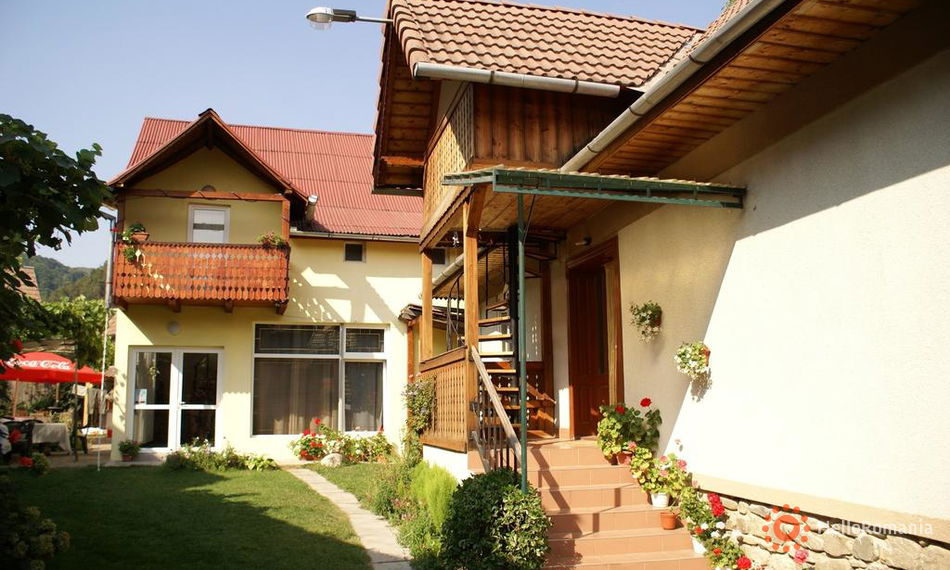 Cazare Pensiunea Andrei Sibiel Imagine Pensiunea Andrei Sibiel