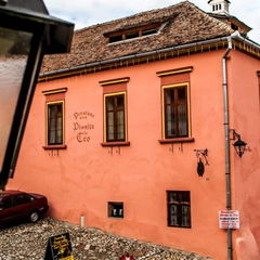 Book Pivnita lui Teo  Overview Pivnita lui Teo