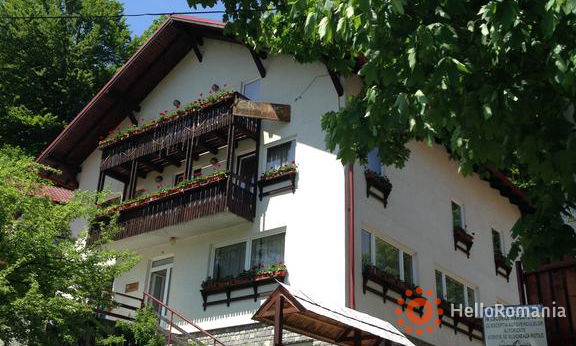 Galerie Pensiunea Thomas 