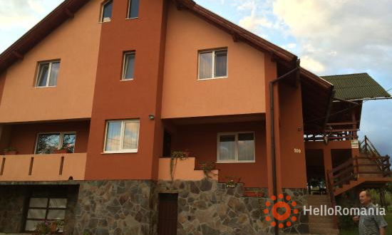 Vedere de ansamblu Pensiunea Martuca Surdesti