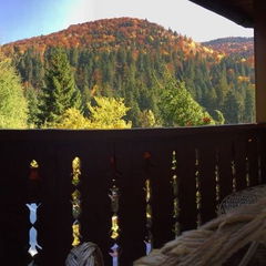 Foto Pensiunea Frasin Tarcau