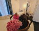 Accommodation ANNE MARIE Techirghiol Photo ANNE MARIE Techirghiol