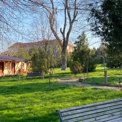 Book Vila Olt Techirghiol Overview Vila Olt Techirghiol