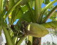 Image Escape Vama Veche 