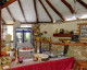 Accommodation JAKUZZI Vama Veche Accommodation JAKUZZI Vama Veche
