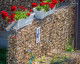 Book THE OLD BORDER  Photo THE OLD BORDER