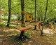 Gallery Kortoves Guest ge - Varghis la 80 km Oras Covasna 