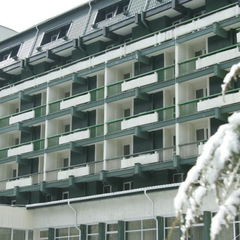 Cazare Hotel Bradul Vatra Dornei