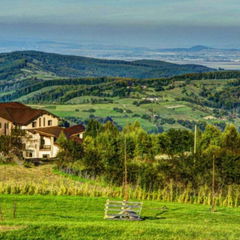 Cazare Pensiunea Poiana Viselor 4*  Vedere de ansamblu Pensiunea Poiana Viselor 4*